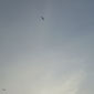 Streak of